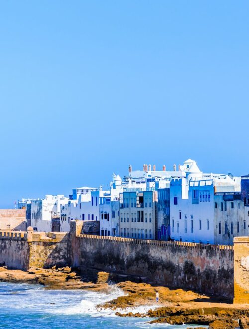 Essaouira Day Trip From Marrakesh.”Agan Forest, Atlantic coast”