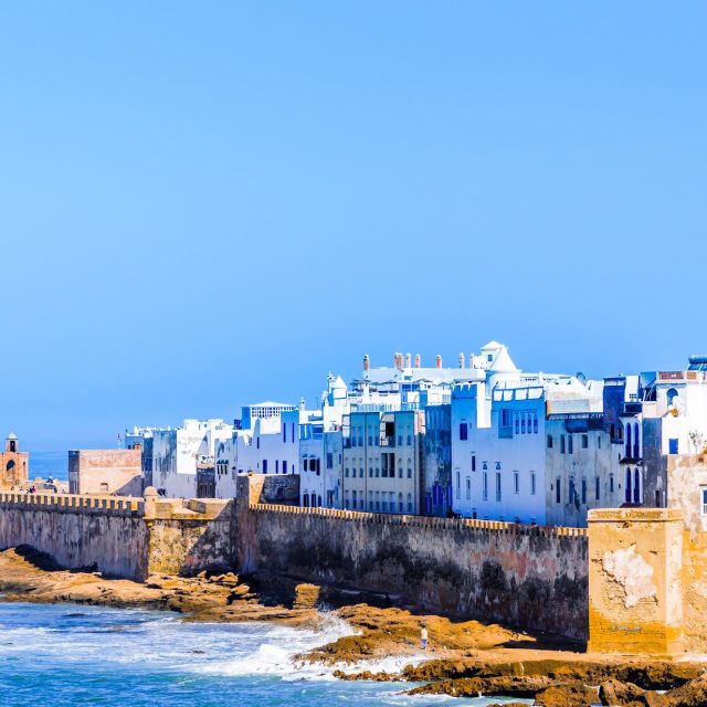 Essaouira Day Trip From Marrakesh.”Agan Forest, Atlantic coast”